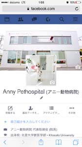 /image/Image/hokins/1457396658.jpg