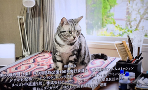 /image/Image/hokins/1468403779.jpg