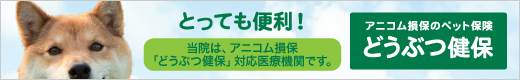 アニコム動物保険