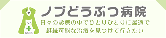 ノブどうぶつ病院