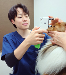 獣医師　和田 一紀